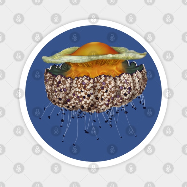 Illustrated Fried Egg Jellyfish Magnet by H. R. Sinclair